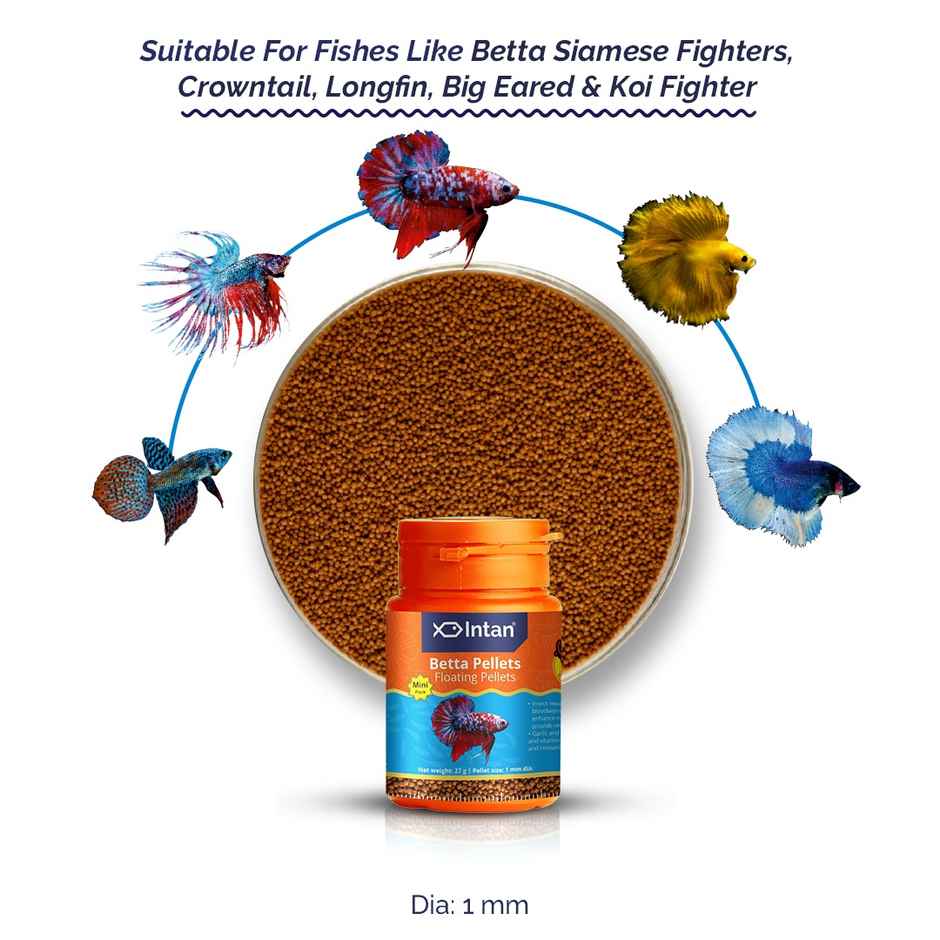 Intan Betta Pellets - Fish FOOD - fighters|Crown tail|Longfin|Big eared|Koi fighter