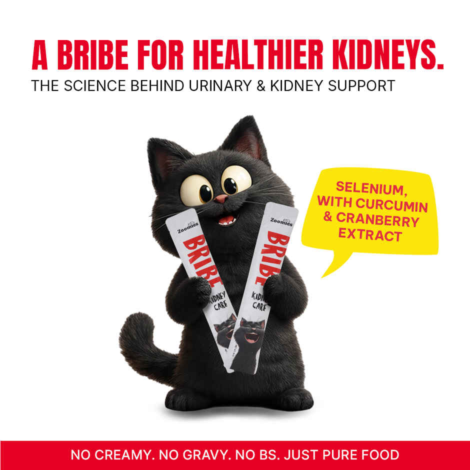 Zoomies Bribe Kidney Care Cat Creamy Treat