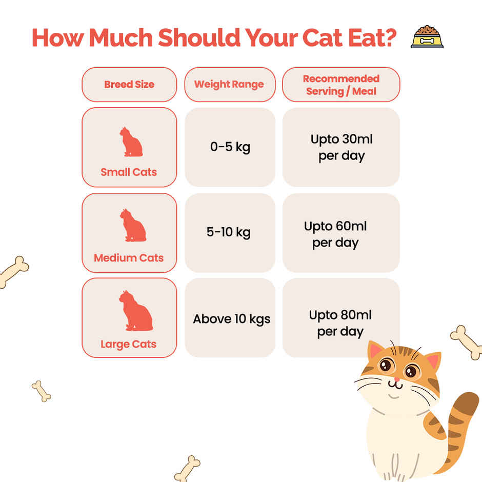 Goofy Tails Sea Food Bone Broth for Cats | Collagen Rich Cat and Kitten Food Topper