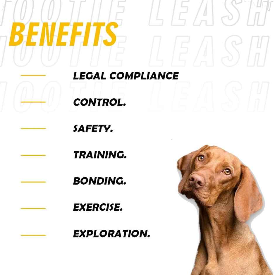 Nootie Plush Padded Leash Red Color With Grey | 25 Mm - L - For Large Dogs