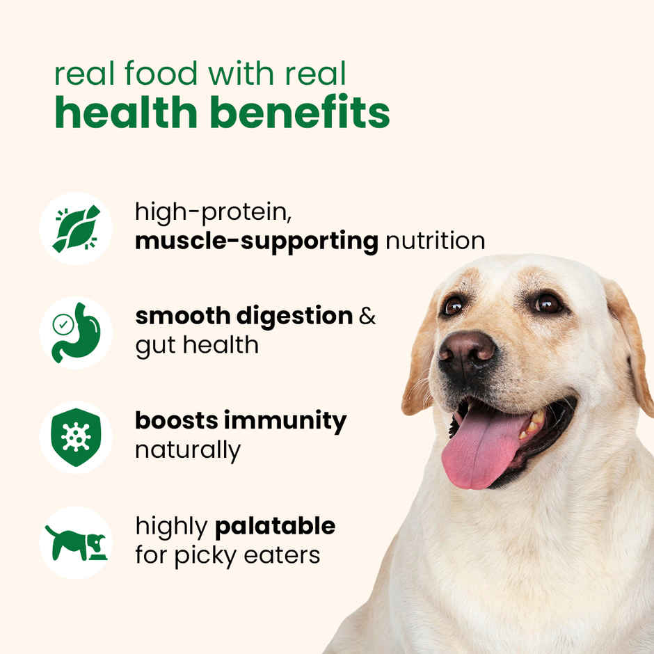 Nibblr By Nootie Fresh Veg Pulao Wholesome Meal | Veggies & Rice Dog Wet Food 300gm