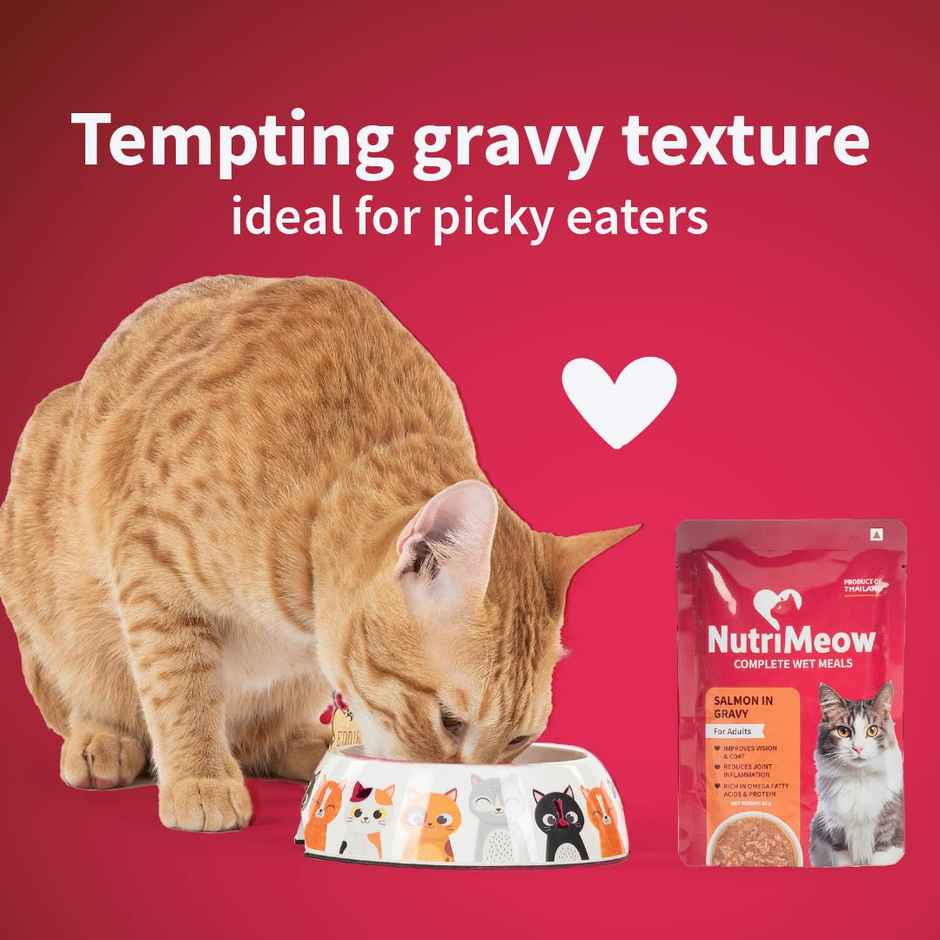 NutriMeow Salmon In Gravy Adult Cat Wet Food