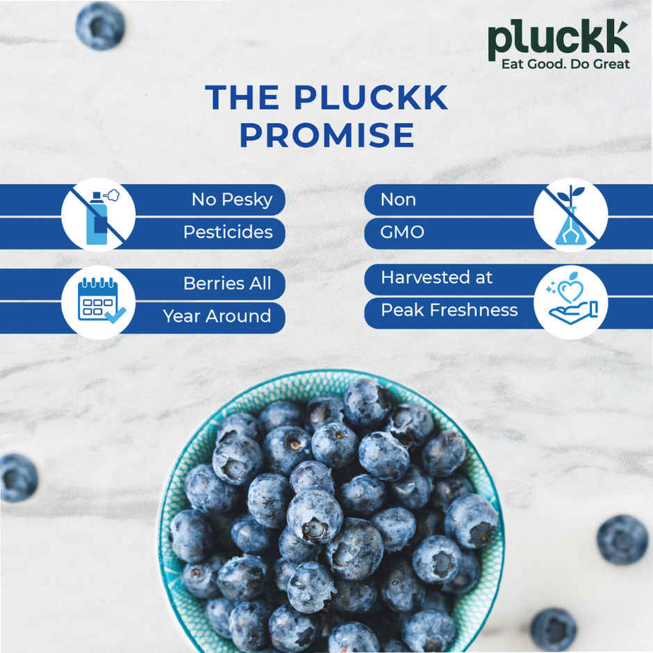 Pluckk Fresh Frozen Imported Blueberry Natural | Non Gmo | Rich In Antioxidants | Superfood Snack