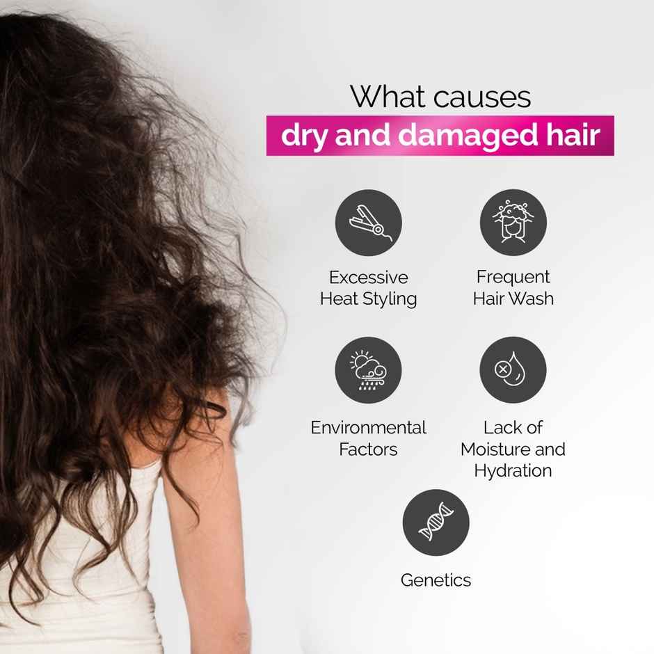 Streax Craft Repair Shampoo For Dry And Damaged Hair