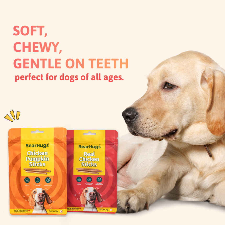 Bearhugs Chicken & Pumpkin Sticksdog Treat