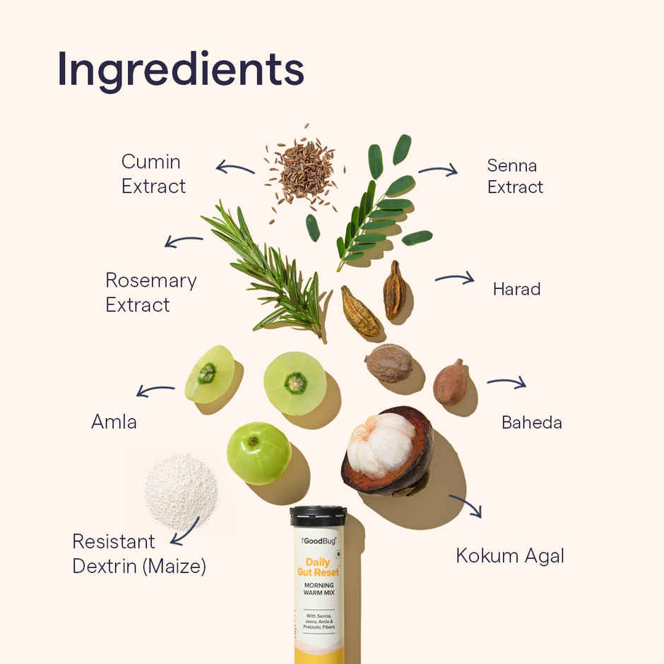 The Good Bug Gut Cleanse Effervescent Tablets Improves Probiotic Activity, Gut Healt