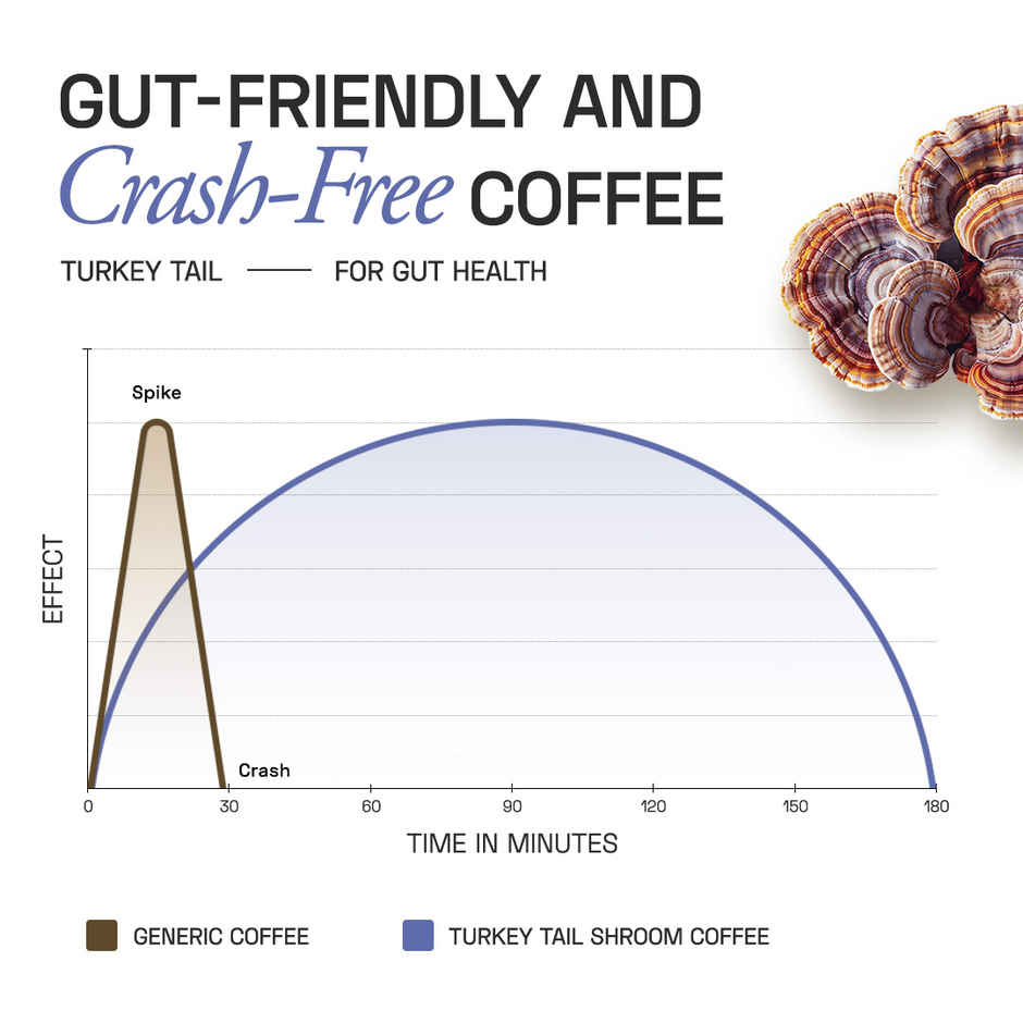 Ace Blend Turkey Tail Shroom Medium Roast Organic Coffee Premix