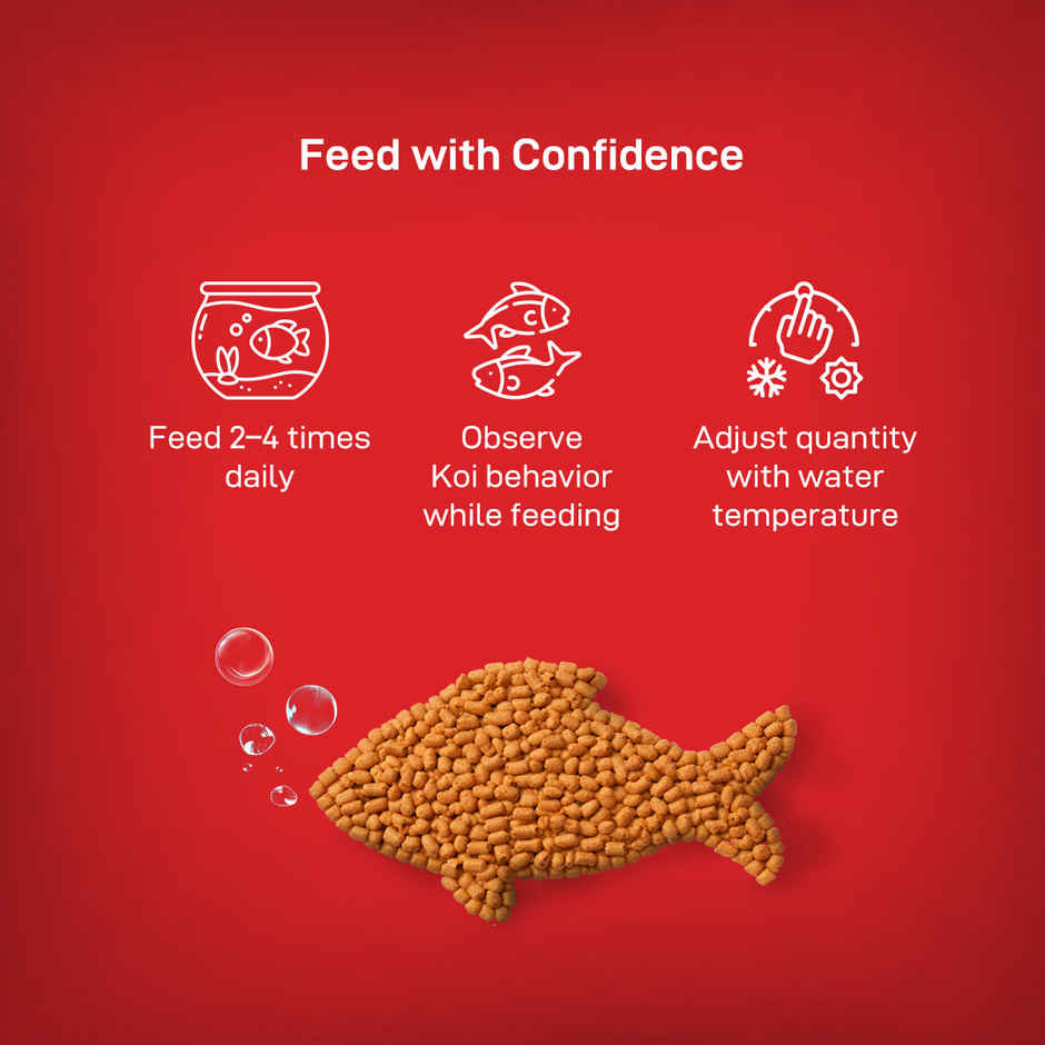 Drools Finsters Koi Fish Food Staple