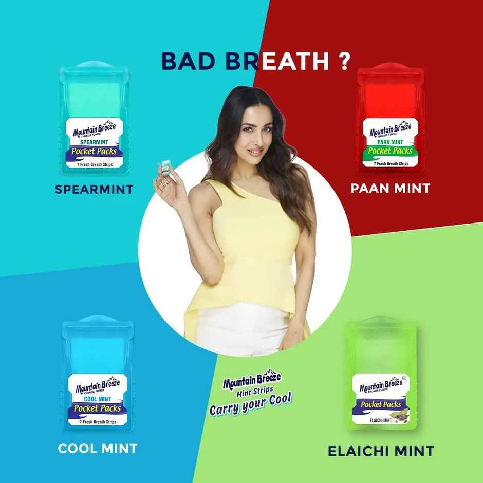 MOUNTAIN BREEZE Sugar Free Strip | Coolmint