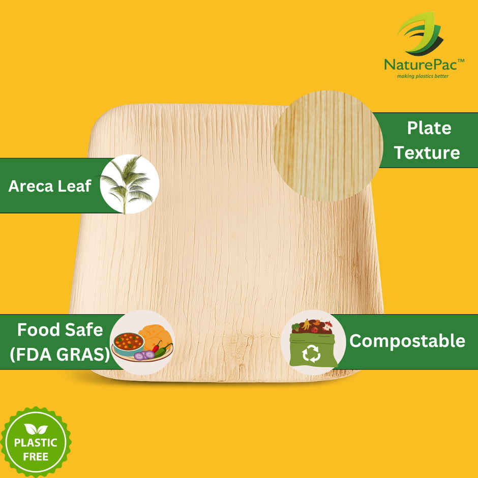 Square Areca Plate | 8 inch | Disposable and Handy | Naturepac