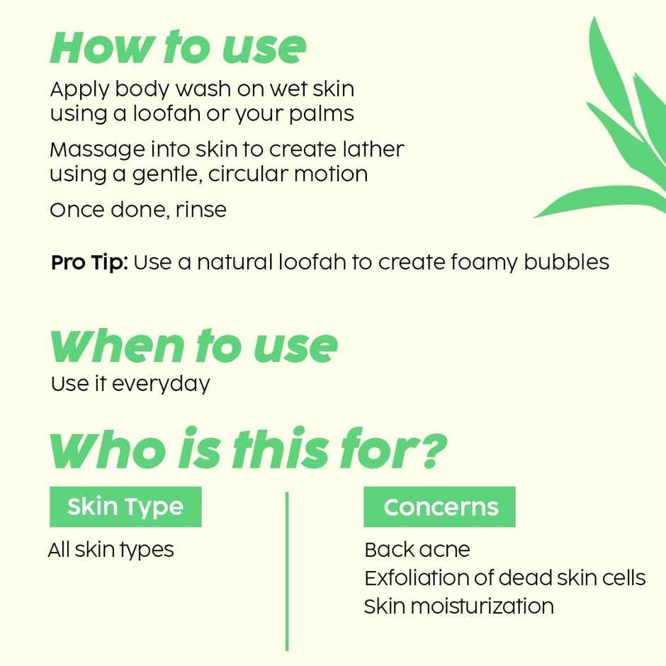 Plix The Plant Fix Jamun 2% Salicylic Acid Body Wash For Body Acne | Bumpy Skin Combo