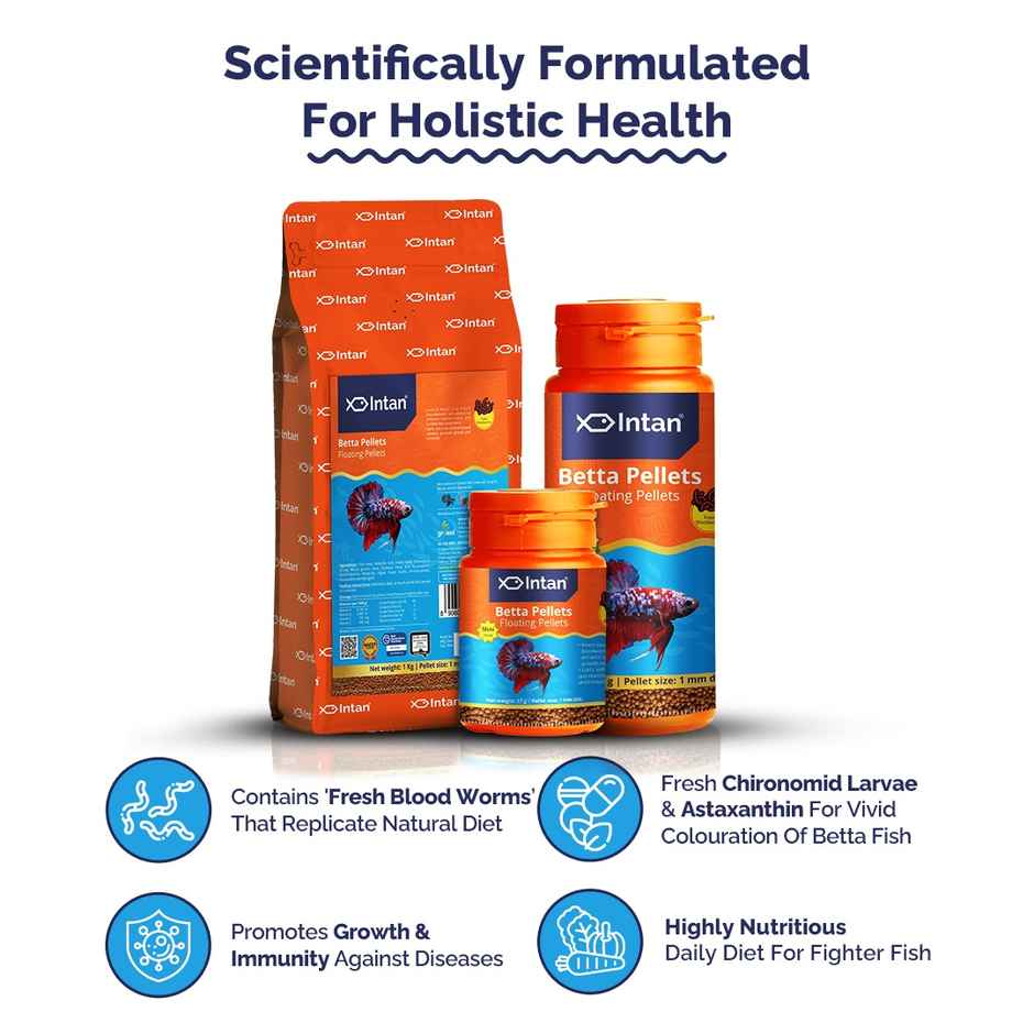 Intan Betta Pellets - Fish FOOD - fighters|Crown tail|Longfin|Big eared|Koi fighter