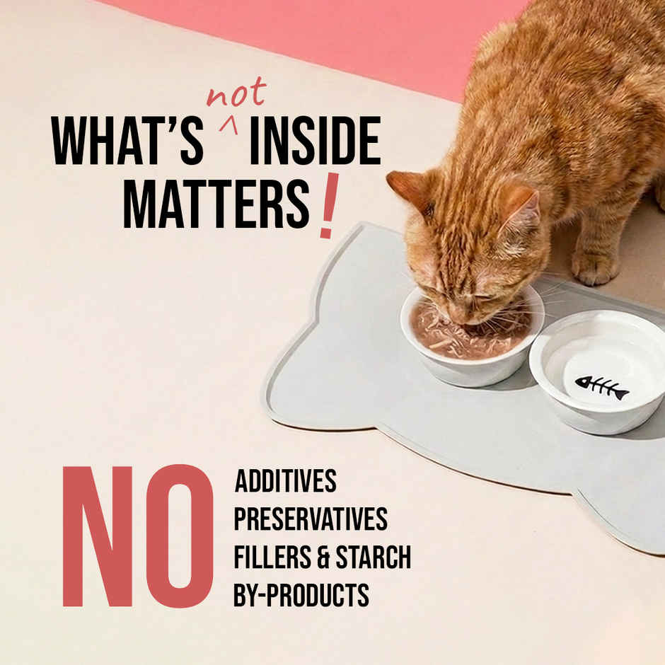 Zoomies Wet Stuff Lite - Duck Breast in Bone Broth Cat Wet Food