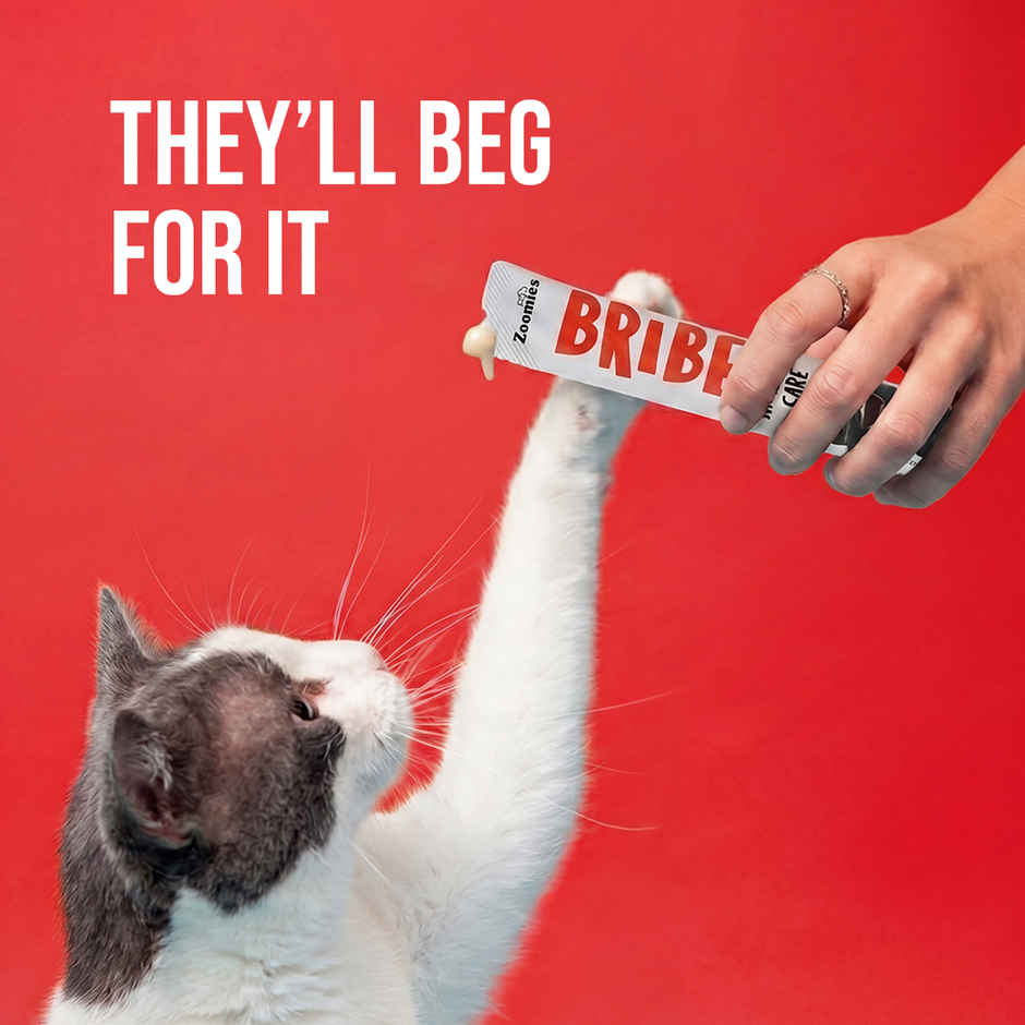 Zoomies BRIBE Cat Treats - 0% Junk, 100% Real Meat | Kidney Care