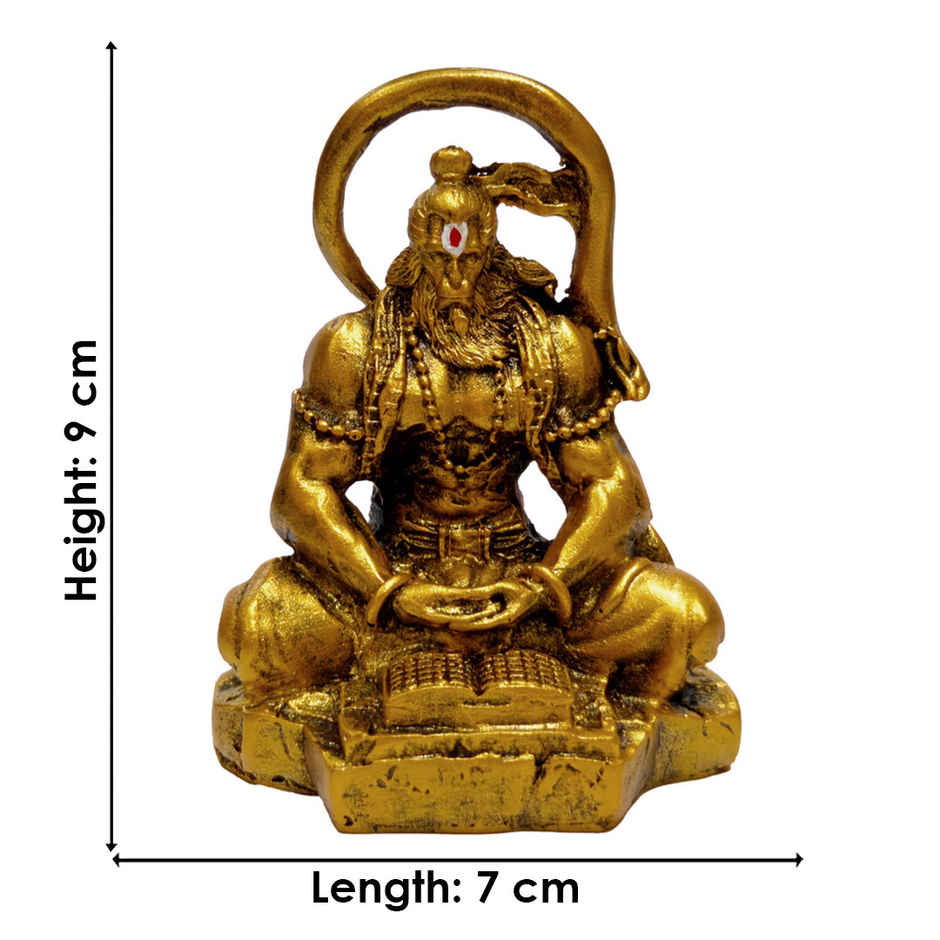Powerful Lord Hanuman Idol | Satvik