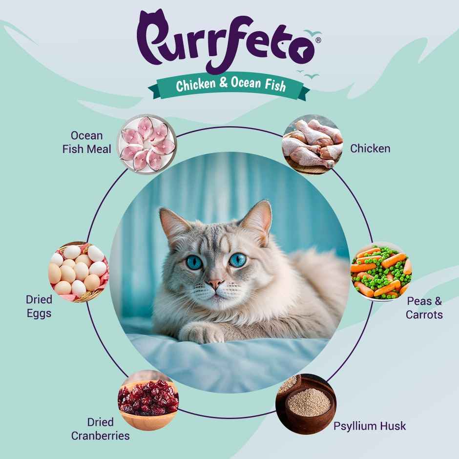 Purrfeto Dry Cat Food Chicken & Ocean Fish | Adult