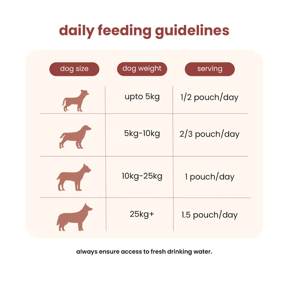 Nibblr By Nootie Fresh Chicken Pulao Wholesome Meal | Chicken Rice & Veggies Dog Wet Food 300gm