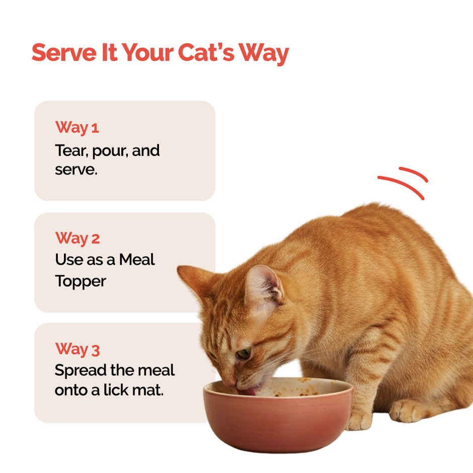 Goofy Tails Himalayan Trout & Anchovies Cat and Kitten Meals | Cat and Kitten Wet Food