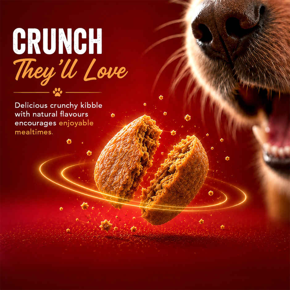 Drools Turkey and Pumpkin Adult Dry Dog Food 1 kg