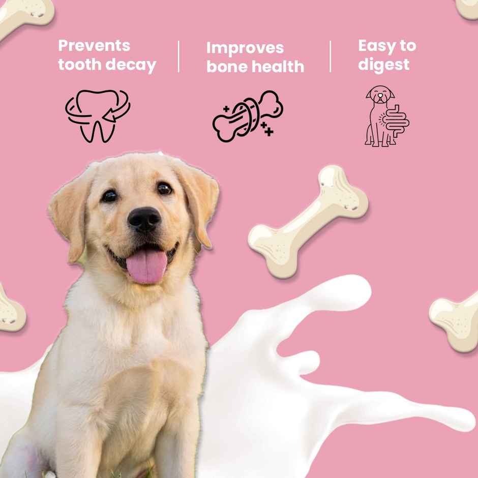 Nootie Nom Nom Calcium Milk Bone Stawberry Flavour - Large