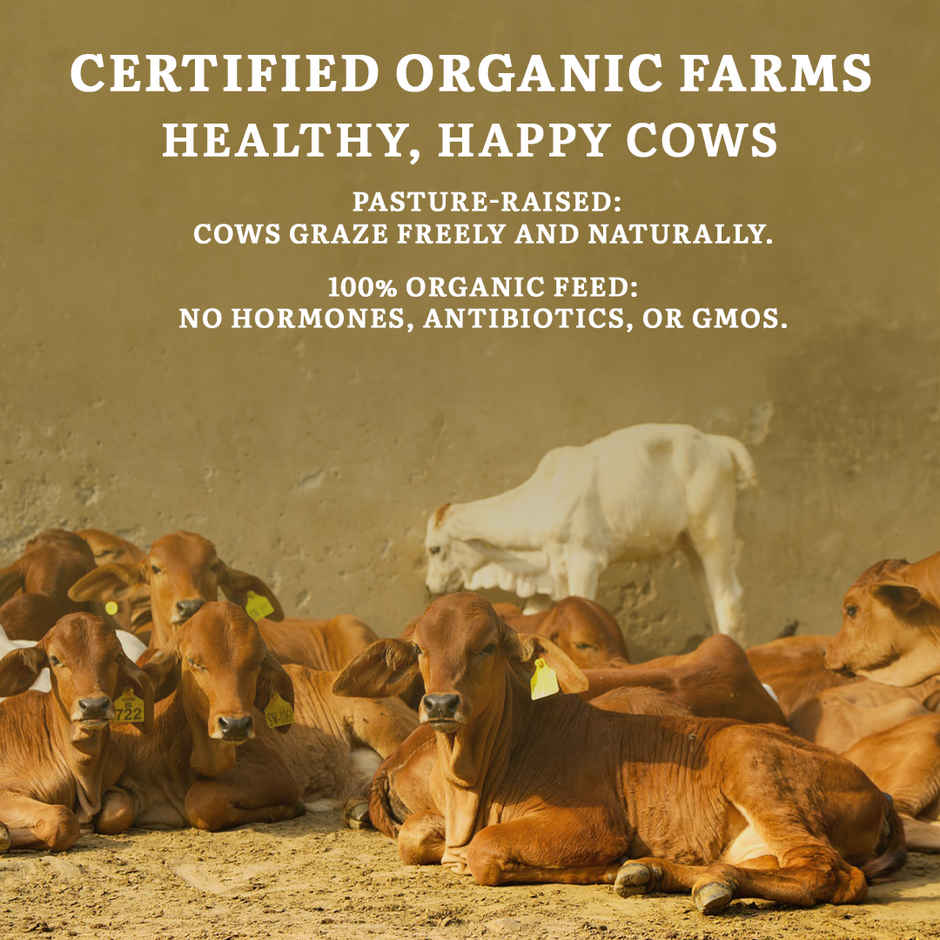 Sanjeevani Organics - Organic Cow Ghee