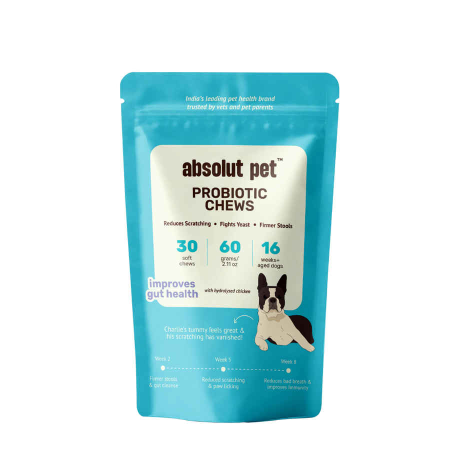 Absolut Pet Dog Supplement | Probiotics for Dogs Reduces Scratching and Paw Licking
