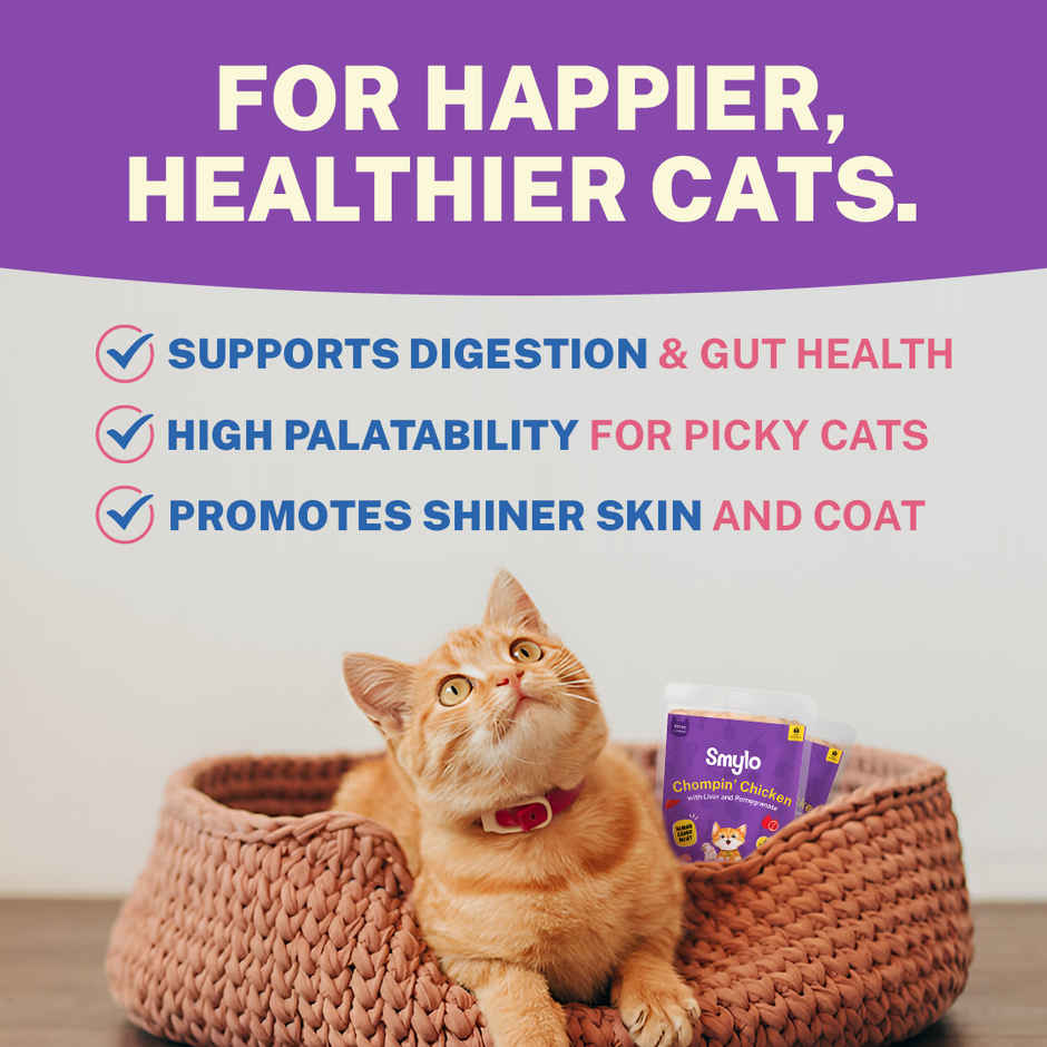 Smylo Kitten Chicken & Liver Wet Cat Food, Fresh & Preservative-Free