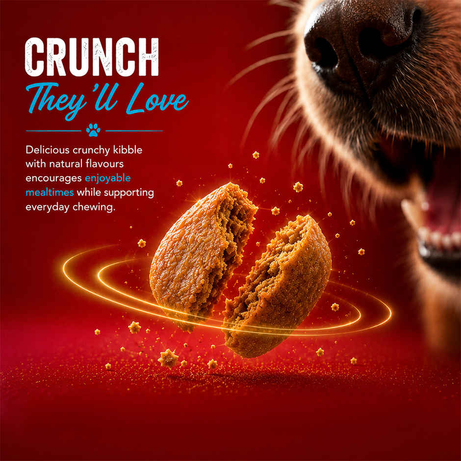 Drools Fish and Rice Adult Dry Dog Food 1 kg
