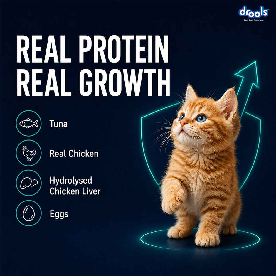 Drools Tuna Mousse Kitten Wet Cat Food, 80g (4+1 Pack Free)