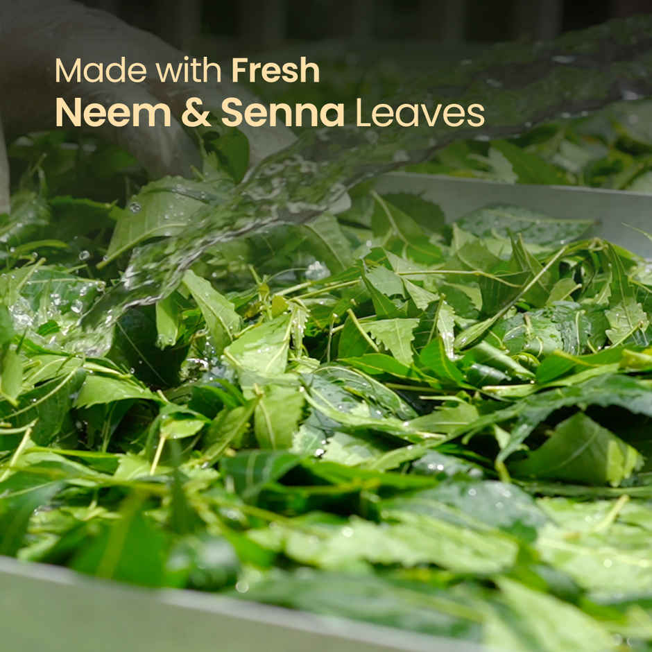 Nat Habit Natural Organic Holi Color Gulal Green - Neem Mauj Combo