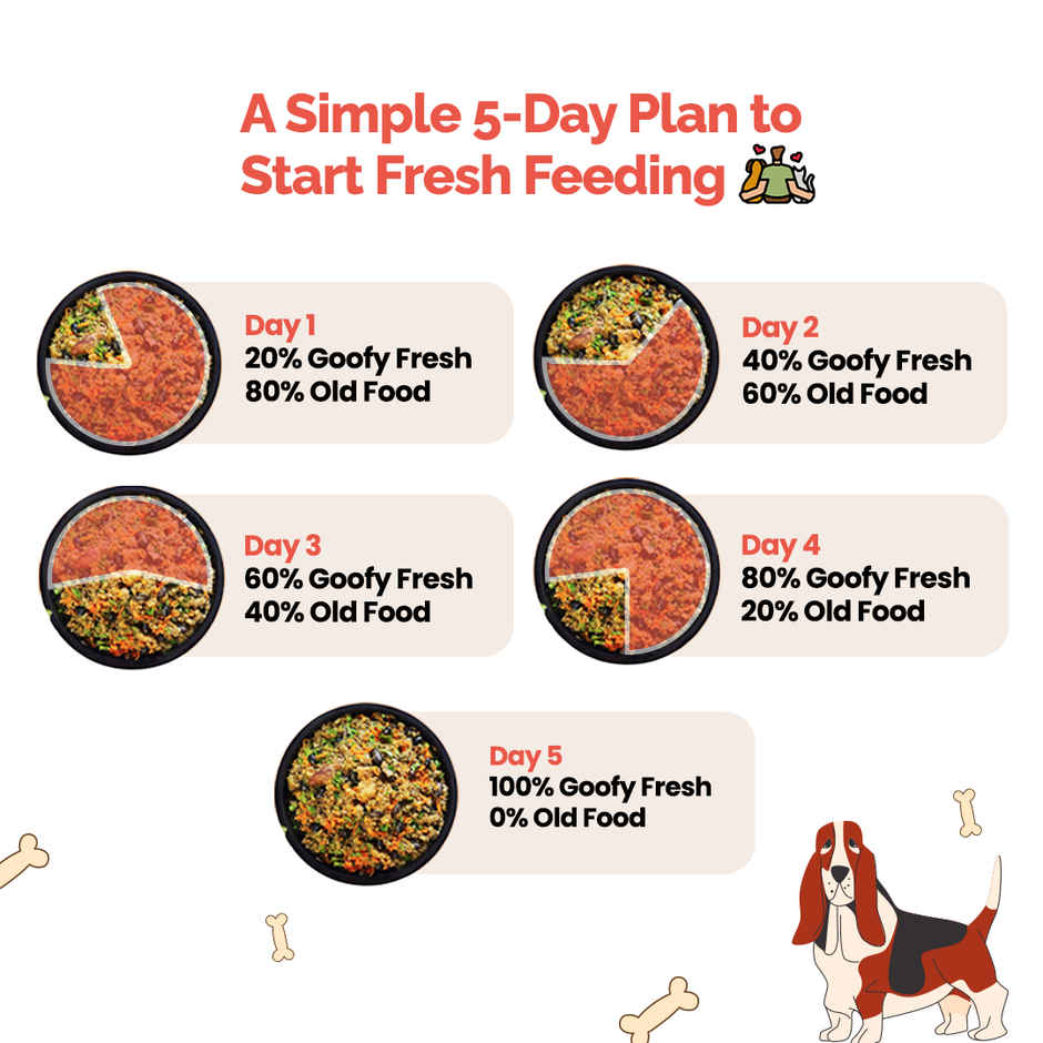 Goofy Tails Chicken and Quinoa Fresh Food for Dogs and Puppies Combo