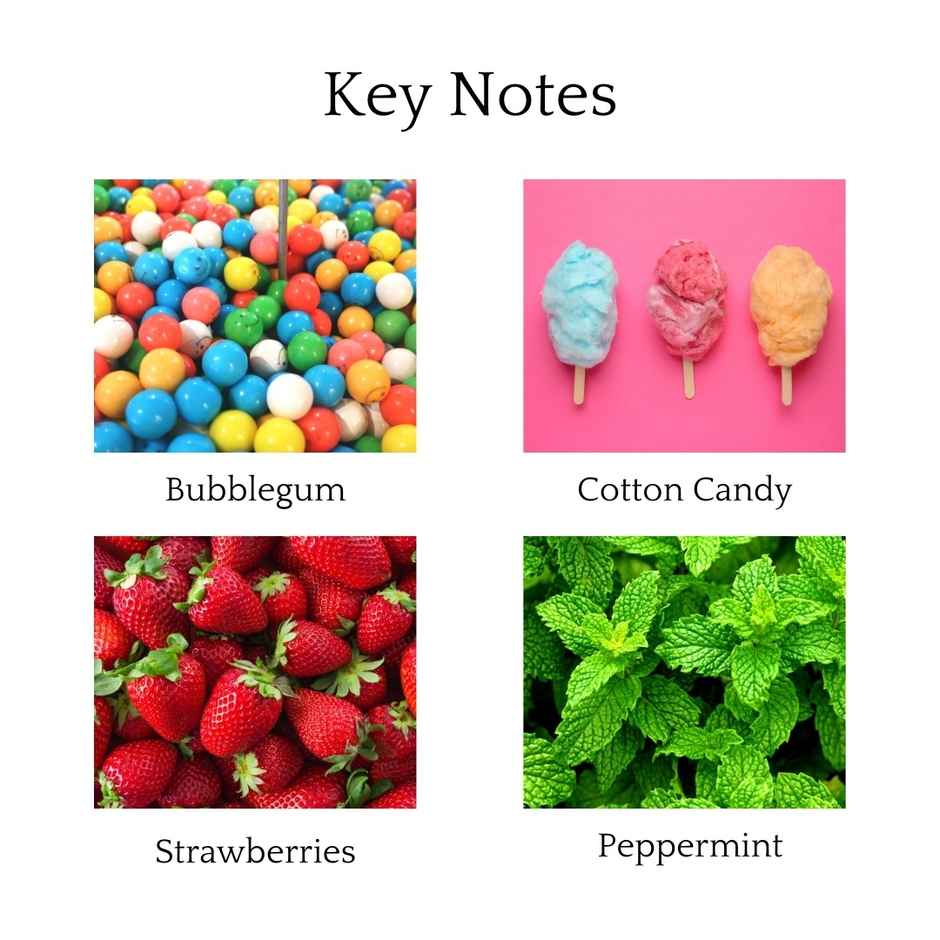 Whipand Wick Bubblegum Cupcake Scented Candle