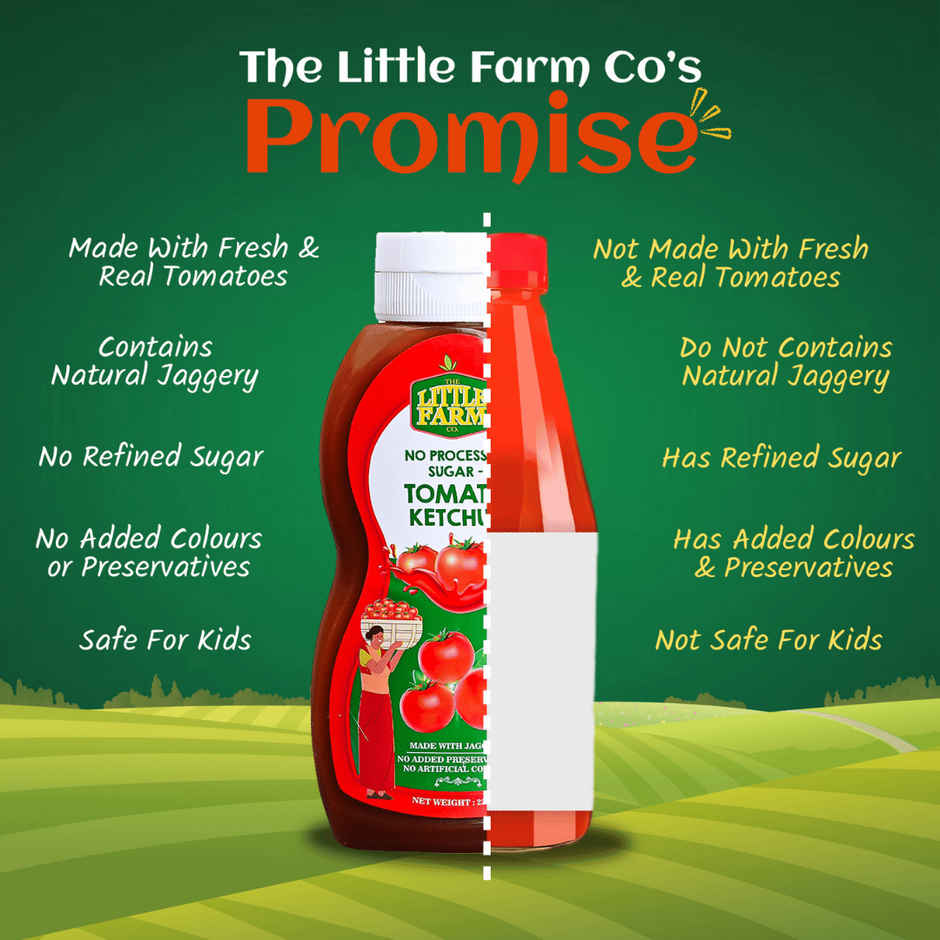 The Little Farm Co. Tomato Ketchup-Sauce | No Added Preservatives