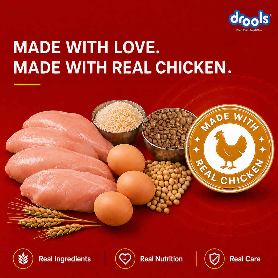 Drools Chicken and Egg Puppy Dry Dog Food, 1.2kg