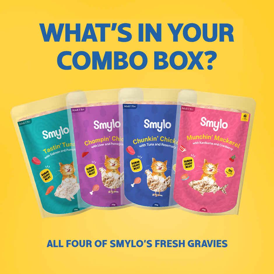 Smylo Adult Wet Cat Food Variety Combo | Chicken, Tuna & Mackerel, Fresh and Preservative Free