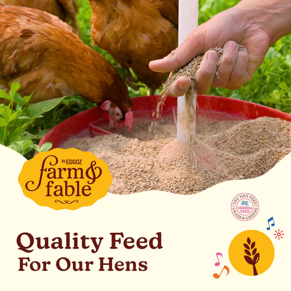 Eggoz Free Range Herbal Fed Brown Eggs
