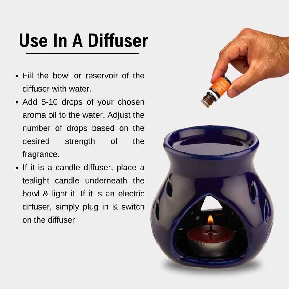 Asian Aura Diffuser Aroma Oil For Home Fragrance 10 ml Fruit Basket