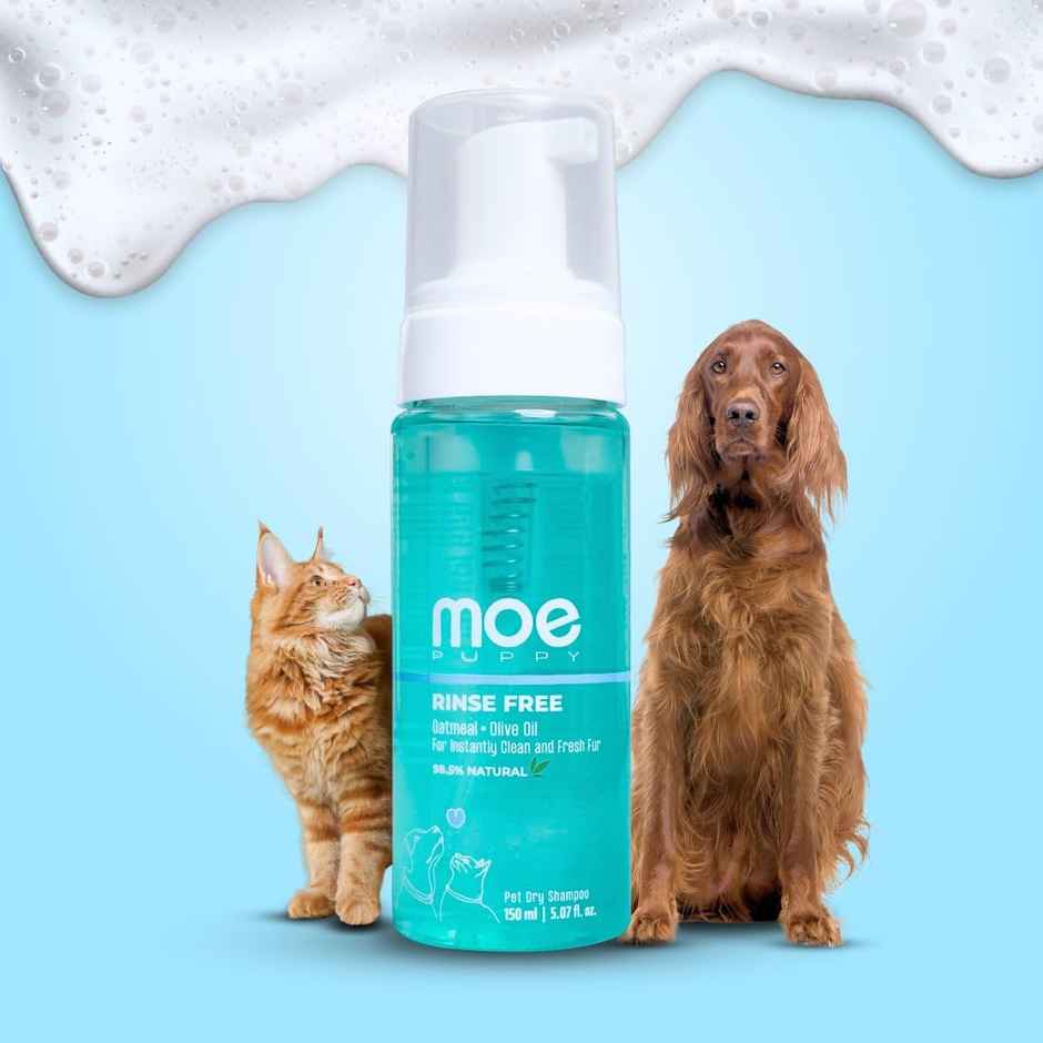 Moe Puppy Rinse Free Dry Shampoo