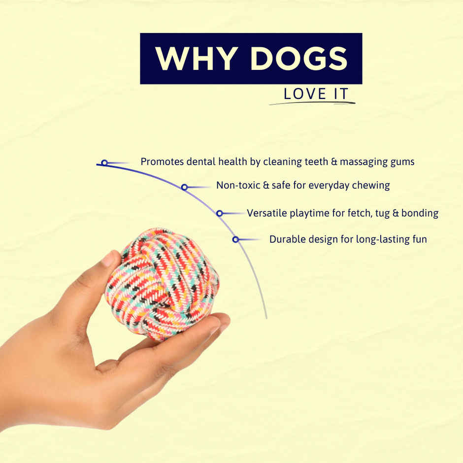 Bearhugs Rope Ball Dog Toy