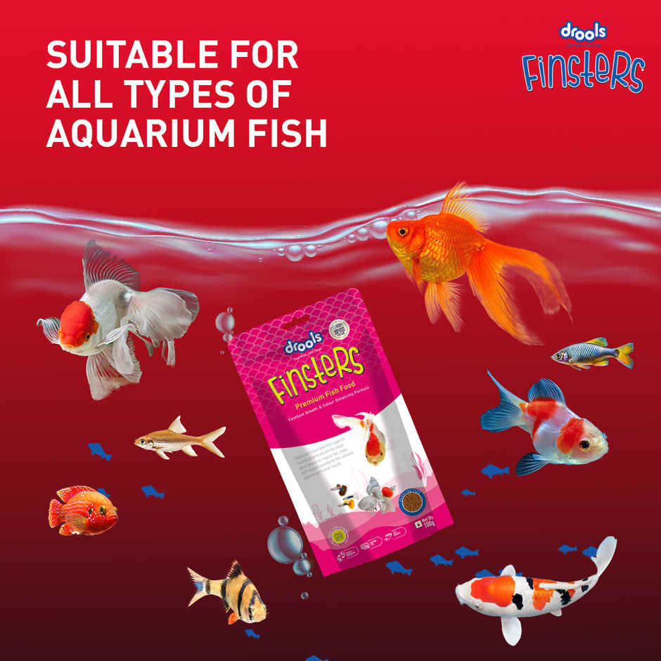 Drools Finsters Premium Fish Food