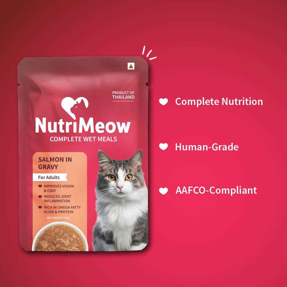 NutriMeow Salmon In Gravy Adult Cat Wet Food