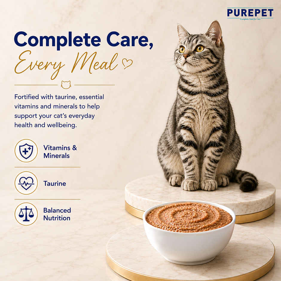 Purepet Real Chicken and Chicken Liver in Gravy,Wet cat food
