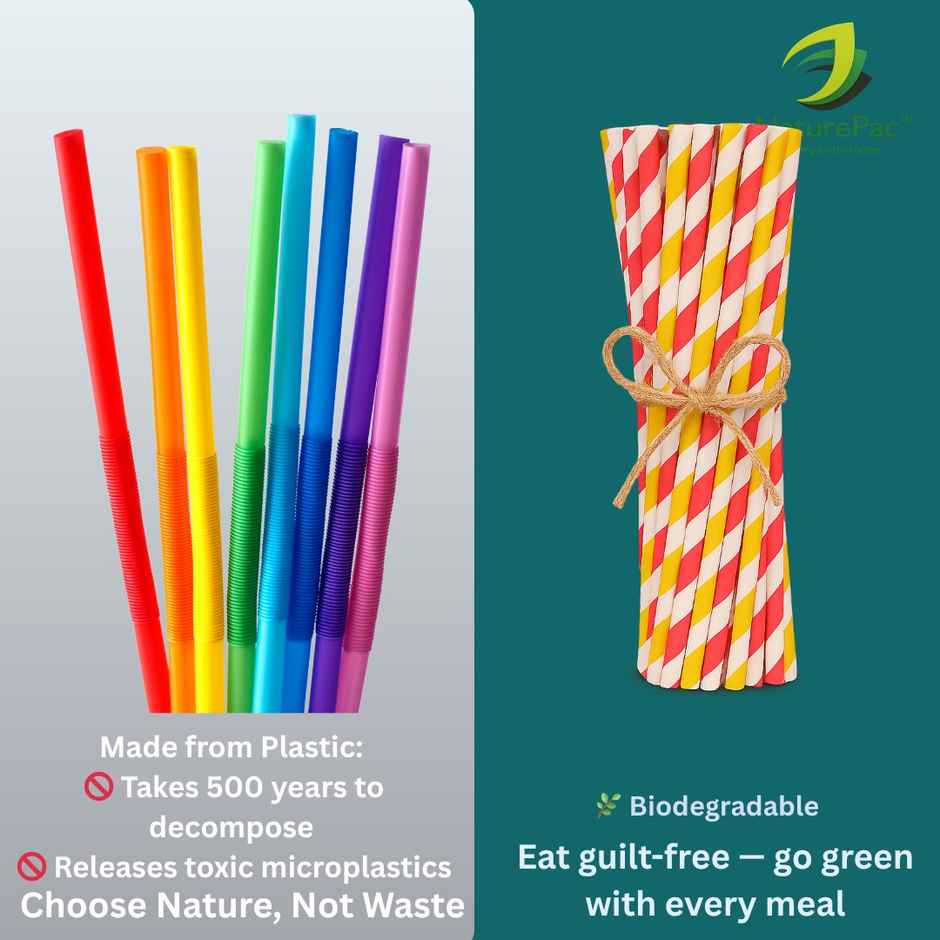 Naturepac Paper Straw | Disposable Drinking Straw