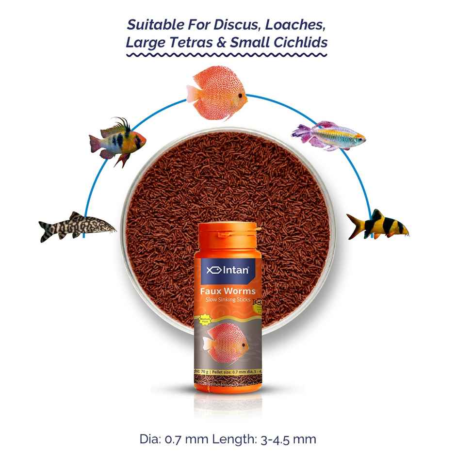 Intan Faux Worm Sticks - Slow Sinking Fish FOOD for All - Discus | Loaches | Large Tetras