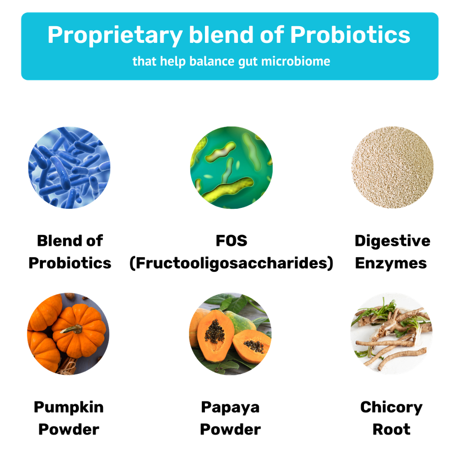 Absolut Pet Dog Supplement | Probiotics for Dogs Reduces Scratching and Paw Licking