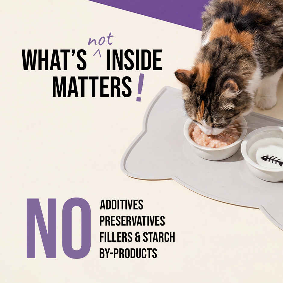 Zoomies Wet Stuff Lite Tuna in Bone Broth Cat Wet Food