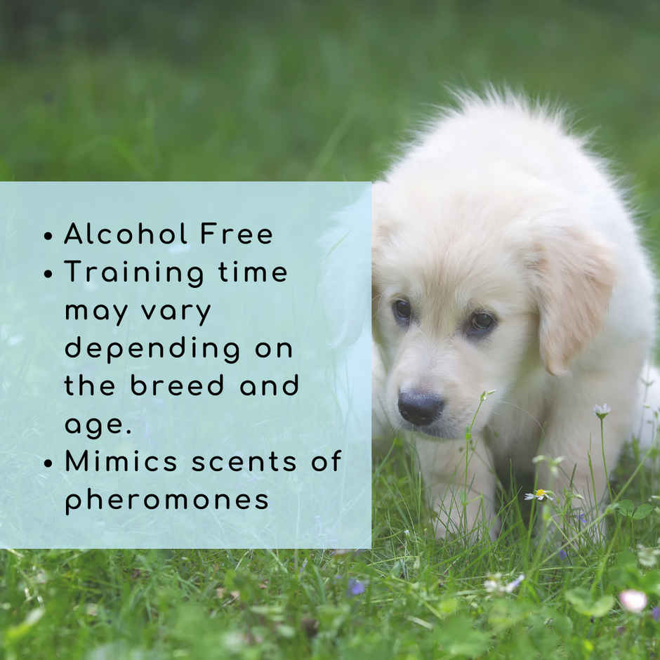 Papa Pawsome Potty Training Spray