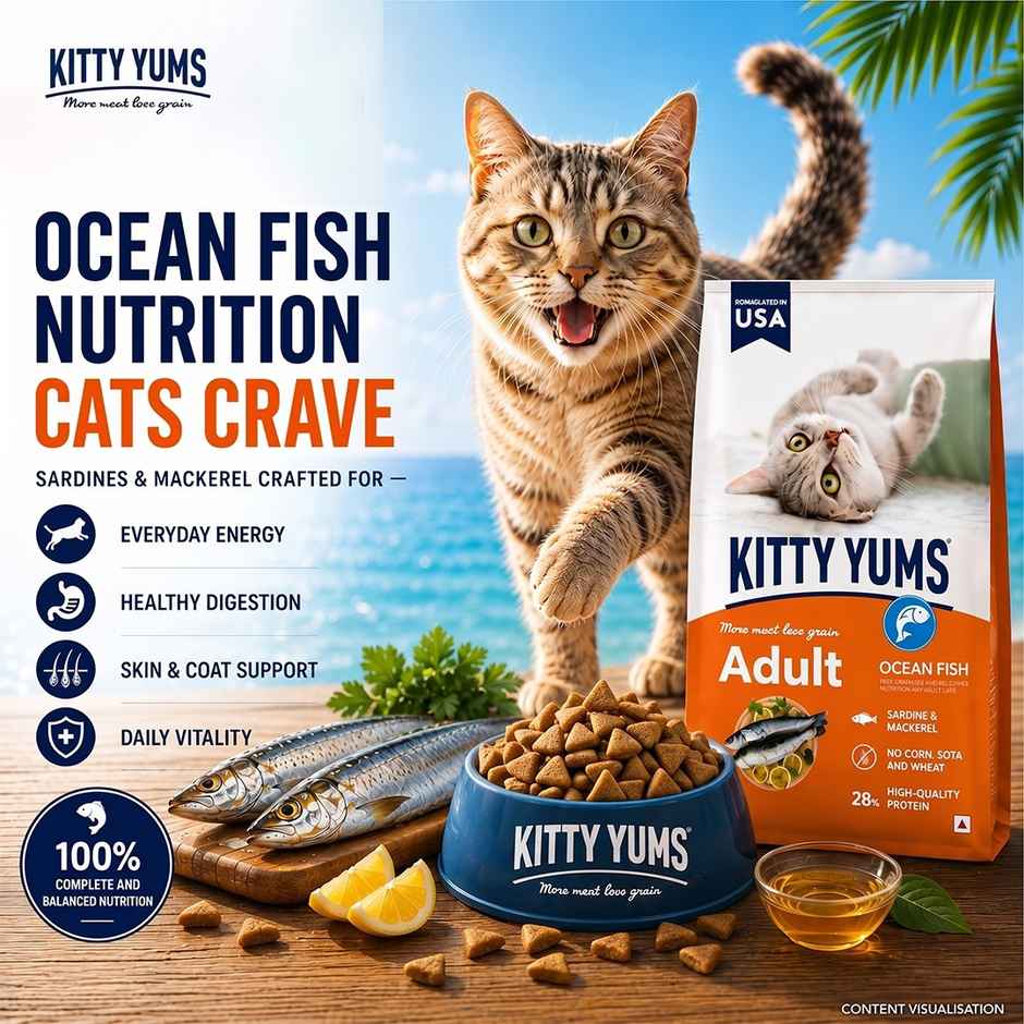 Kitty Yums Adult Cat Dry Food Ocean Fish