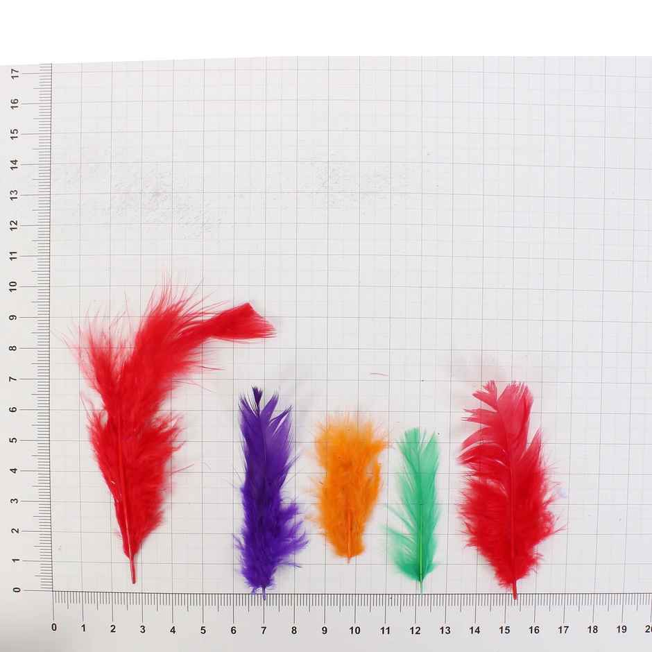 Itsy Bitsy Feathers Asst 90 Pcs Pbhc Ib