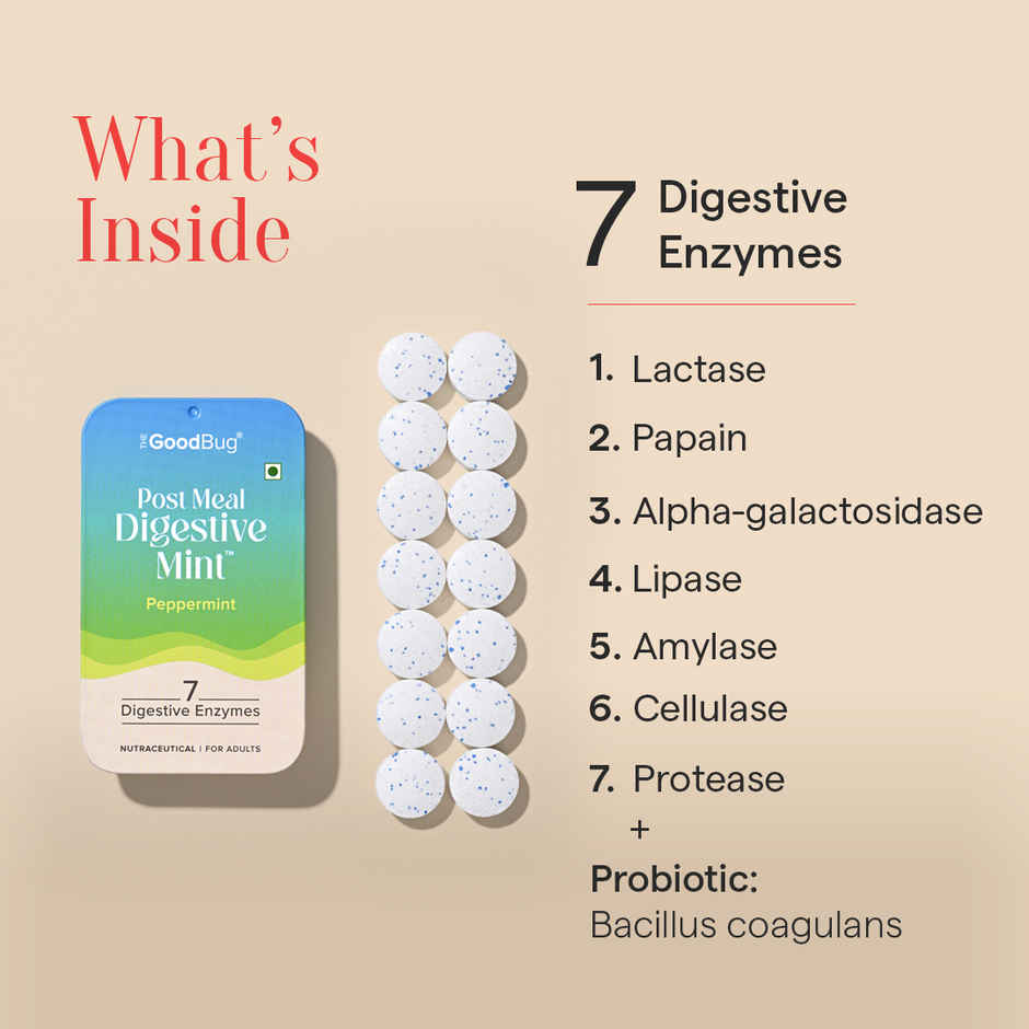 The Good Bug Post Meal Digestive Mint- Peppermint Flavour | 14 of Pack